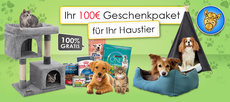 Gewinnspiel Haustier